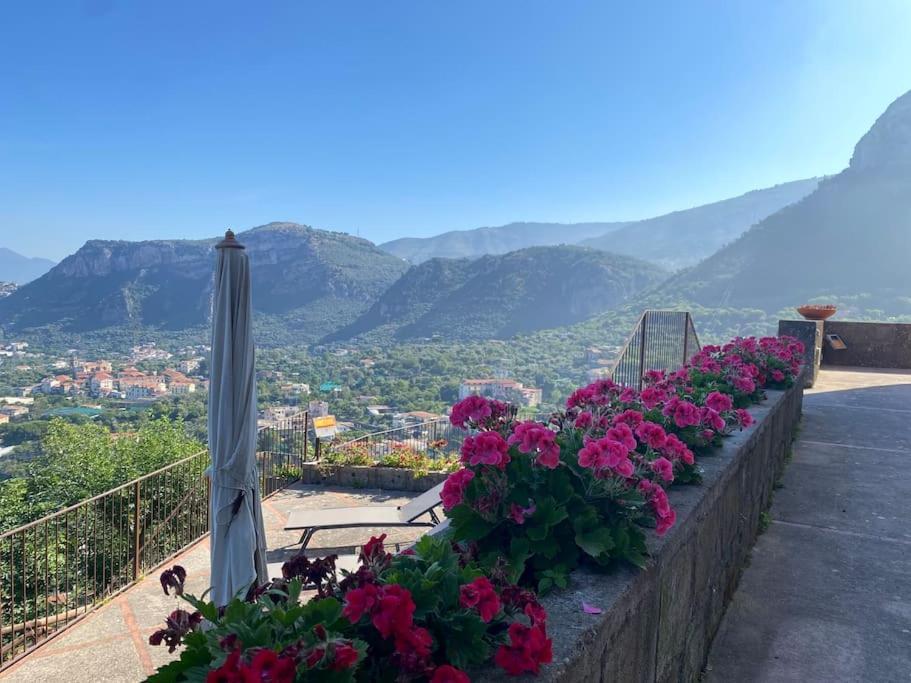Collywood Villa Piano di Sorrento Ngoại thất bức ảnh